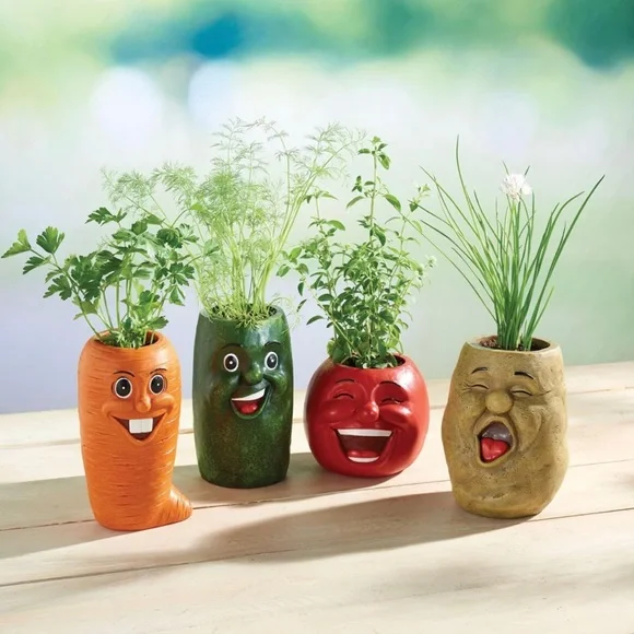 Veggie Herb Pot Carrot 🥕 - Picture 3 of 8